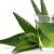 Aloe vera & šťava z aloe a ich kozmetické použitie